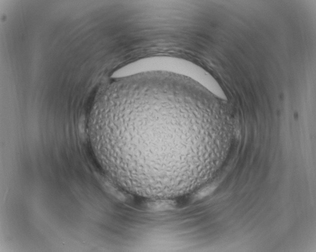 X0000062910670200602031858