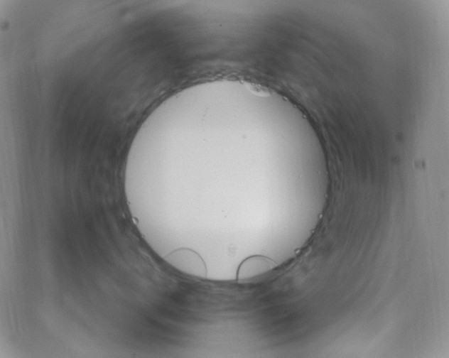 X0000062910672200602031858