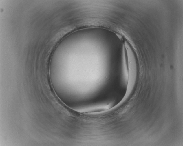 X0000062910673200602031857