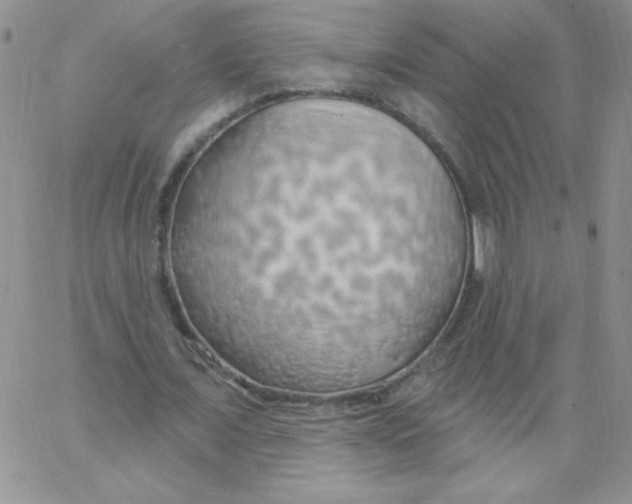 X0000062910675200602031857