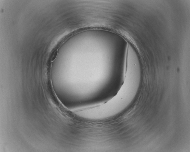 X0000062910676200602031857