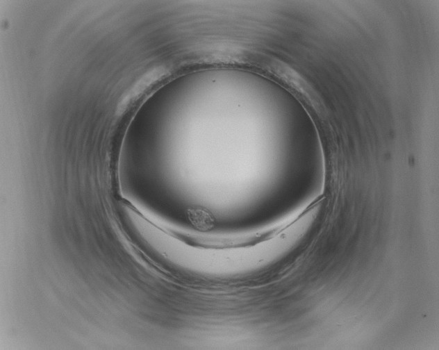 X0000062910677200602031857