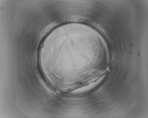 X0000062910678200602031857