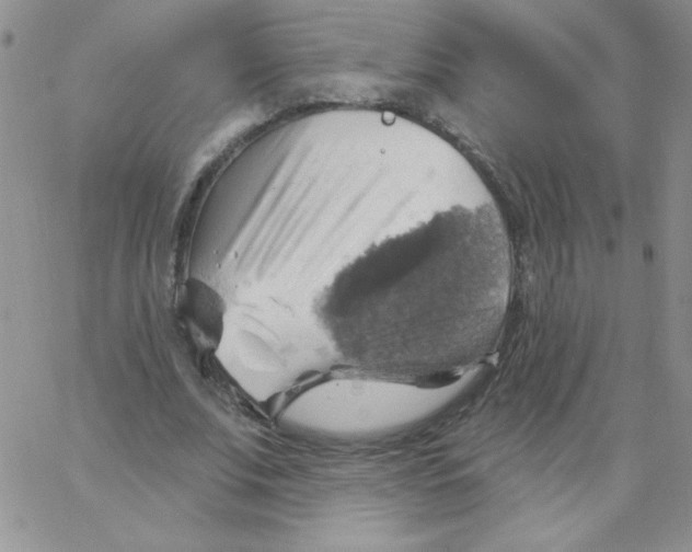 X0000062910679200602031857