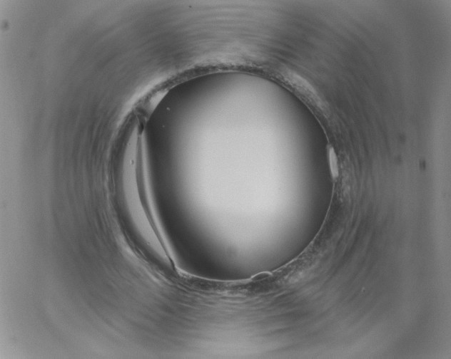 X0000062910680200602031857