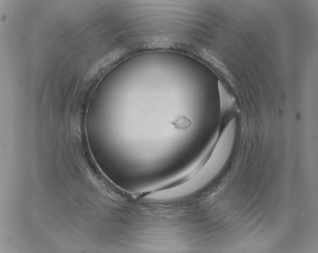 X0000062910681200602031857