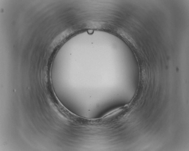 X0000062910682200602031857