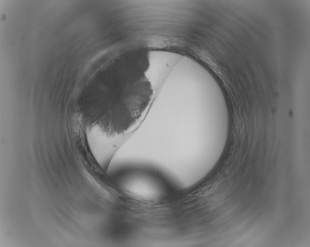 X0000062910683200602031857