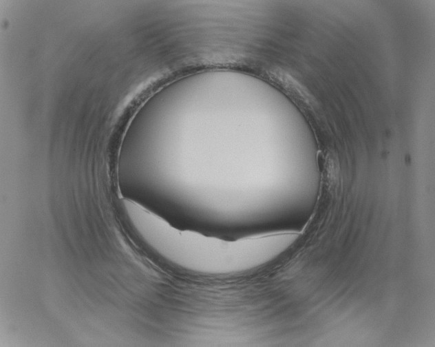 X0000062910684200602031857