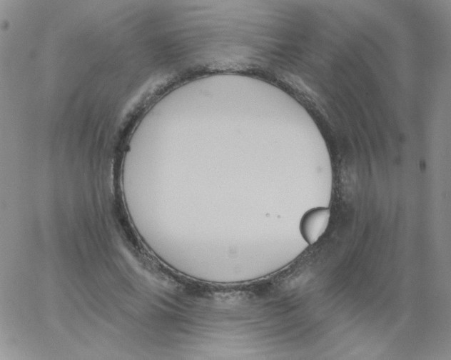 X0000062910686200602031857