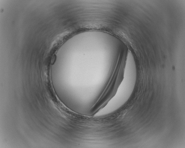 X0000062910688200602031857