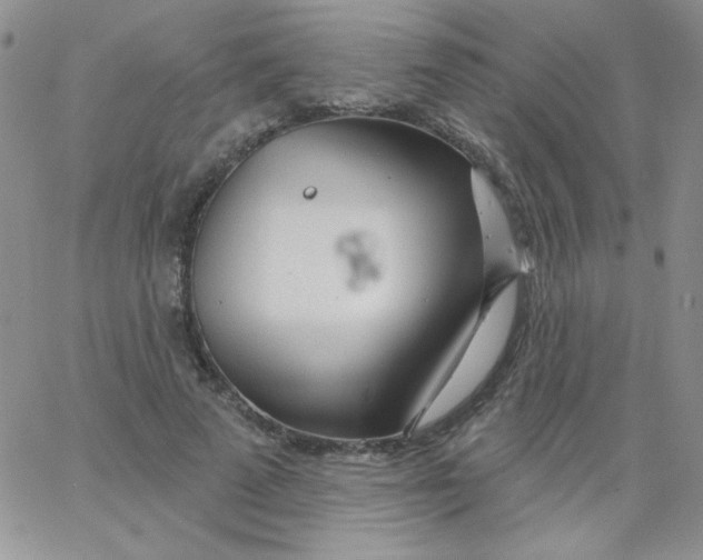 X0000062910689200602031857