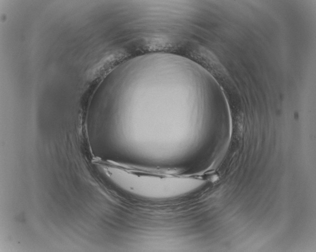 X0000062910691200602031857