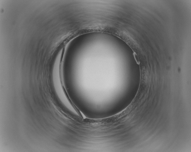 X0000062910692200602031857