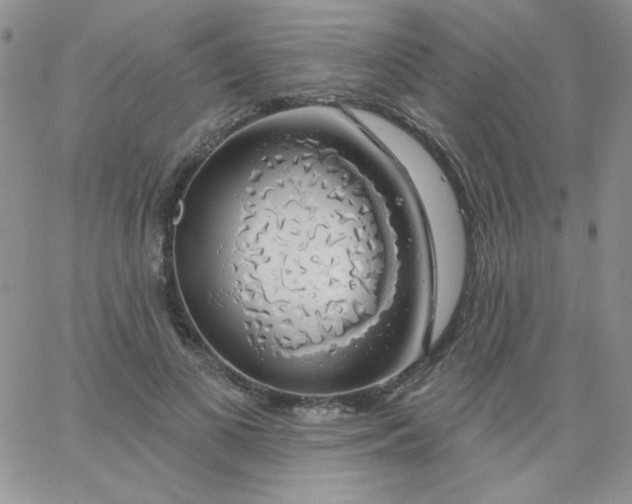 X0000062910693200602031857