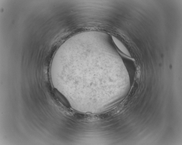 X0000062910696200602031857