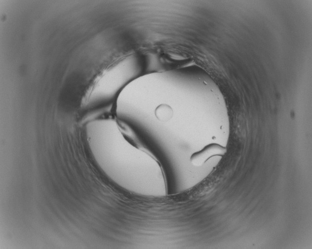 X0000062910697200602031857