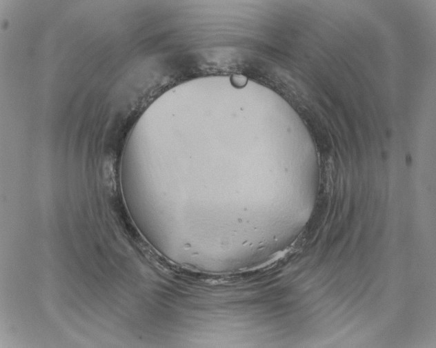 X0000062910699200602031857