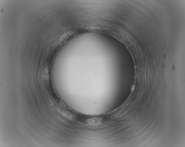 X0000062910700200602031857