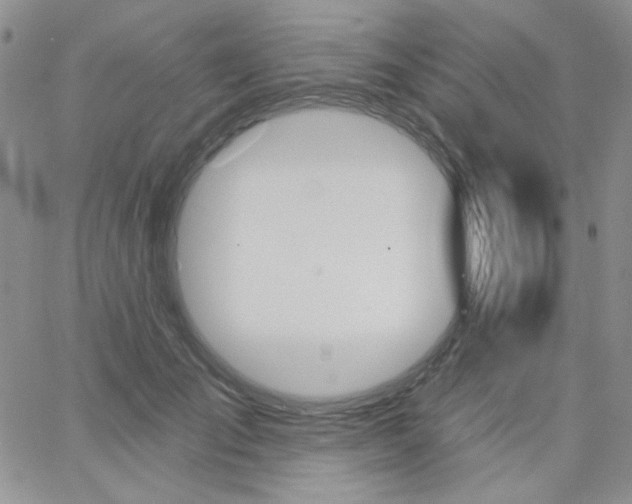 X0000062910701200602031857