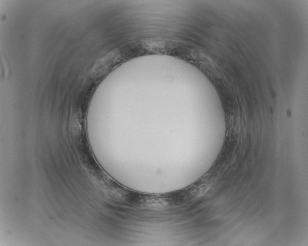 X0000062910702200602031857