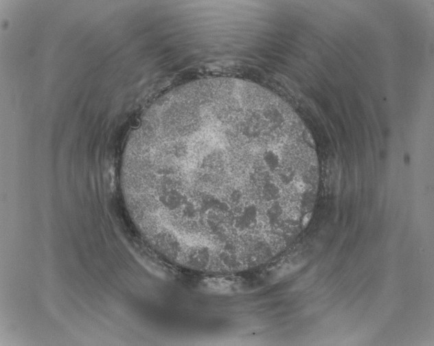 X0000062910703200602031857