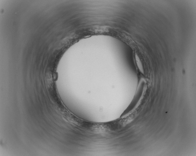 X0000062910704200602031857