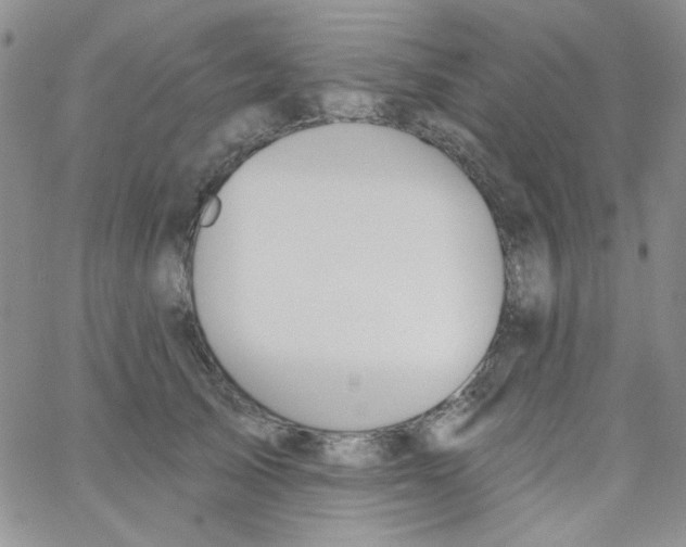 X0000062910705200602031857