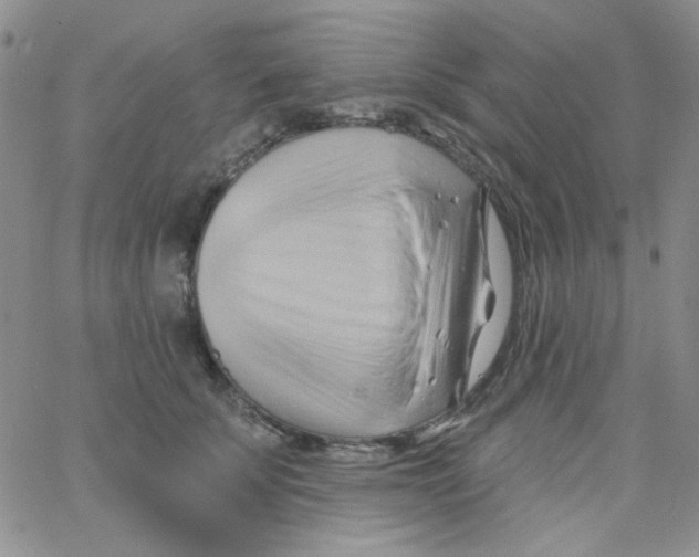 X0000062910707200602031857