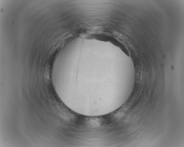 X0000062910710200602031857