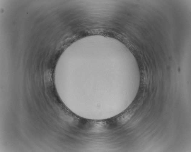 X0000062910711200602031857