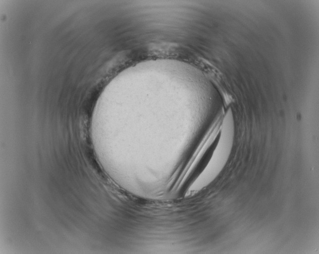 X0000062910712200602031857