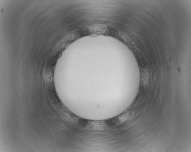 X0000062910713200602031857