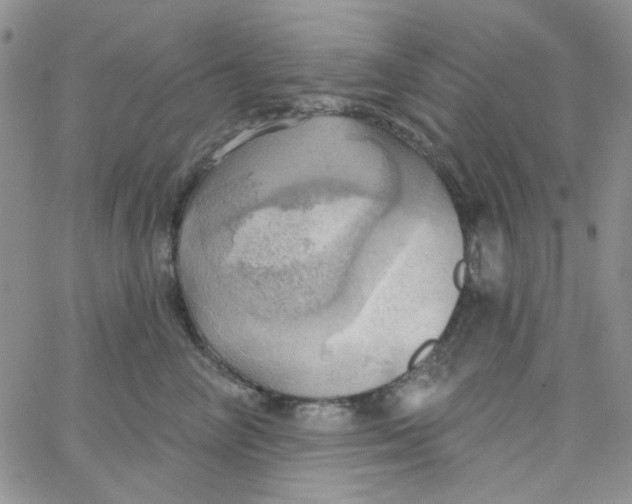 X0000062910714200602031857