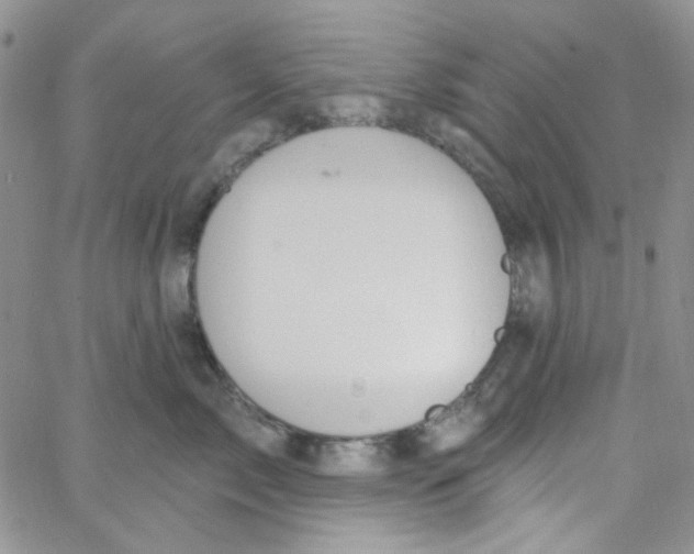 X0000062910717200602031857