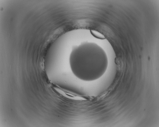 X0000062910718200602031857