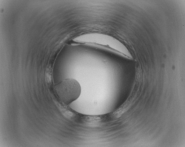 X0000062910719200602031857