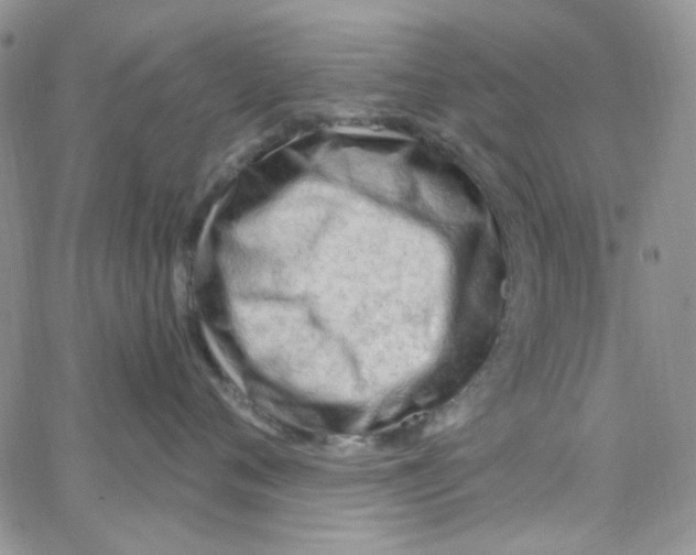 X0000062910720200602031857