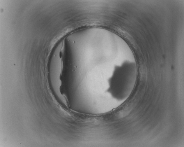 X0000062910721200602031856