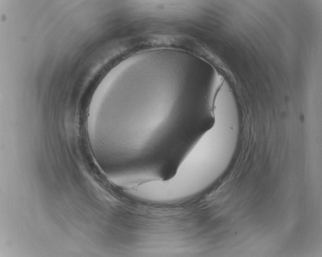 X0000062910722200602031856