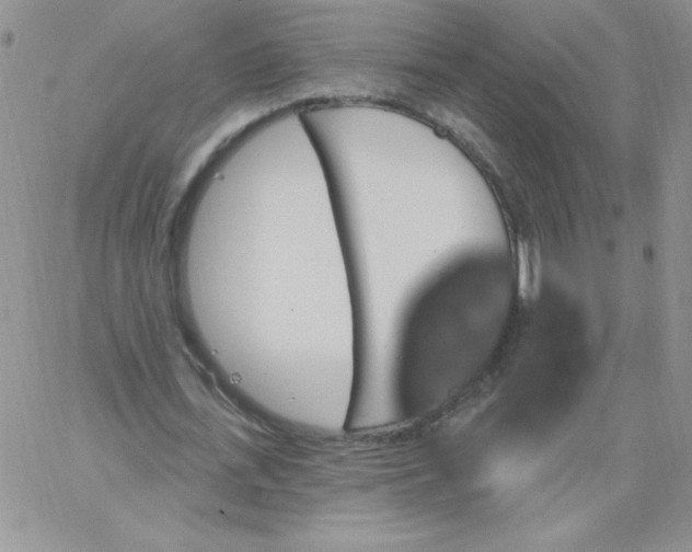 X0000062910723200602031856