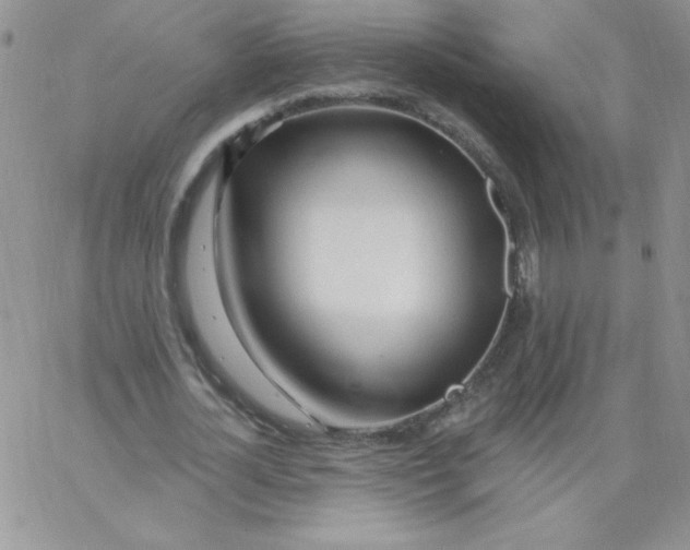 X0000062910724200602031856