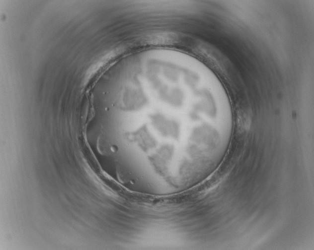 X0000062910725200602031856