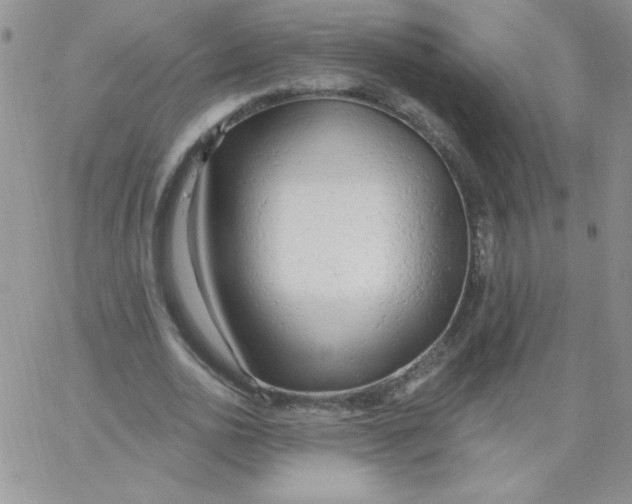 X0000062910726200602031856