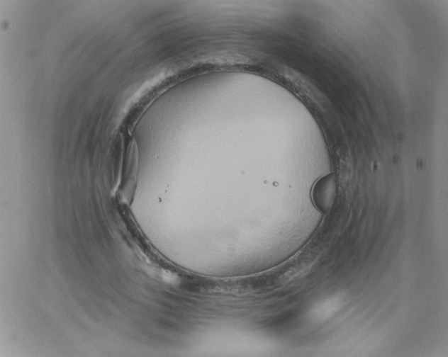 X0000062910727200602031856