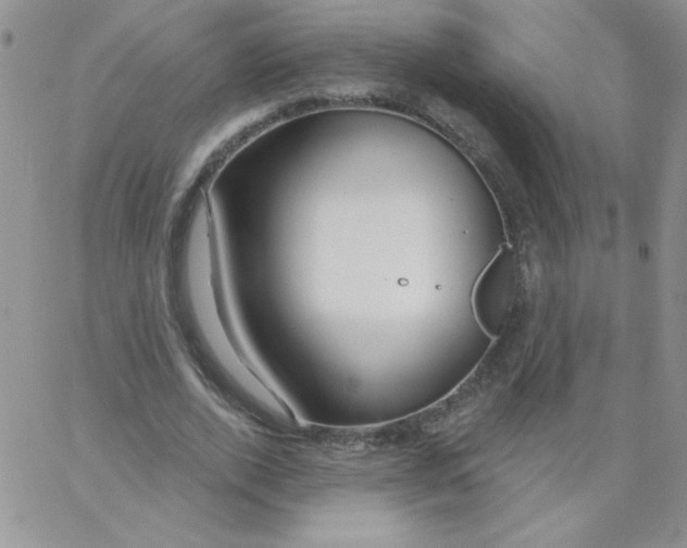 X0000062910728200602031856