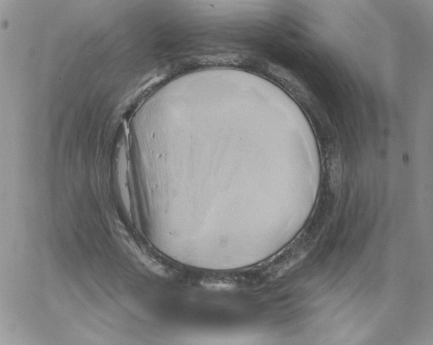 X0000062910729200602031856