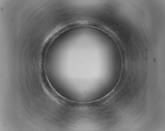 X0000062910730200602031856