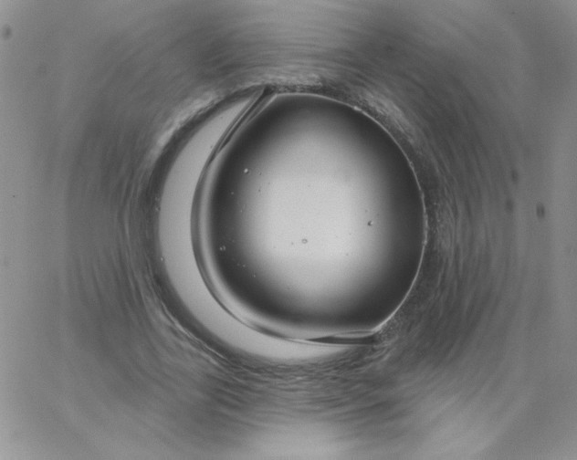 X0000062910731200602031856