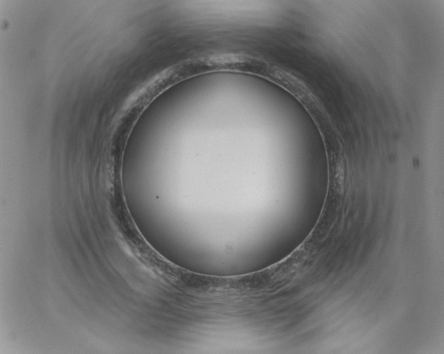 X0000062910732200602031856